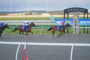 Pakenham Synthetic 