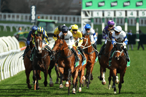 Randwick Barrier-fron on 