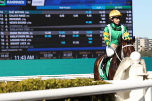 Randwick Big-Board 