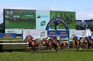 Randwick Finishing-Post5 