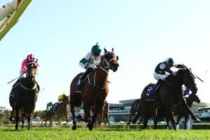 Randwick far-grandstand 