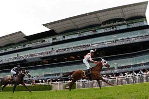 Randwick grandstand-racetrack 