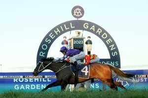 Rosehill 2023-finish 
