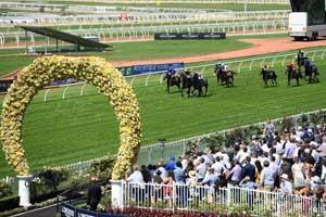 Rosehill Crowd-view 