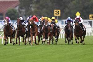 Rosehill Fron On 