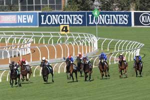Rosehill Turn 