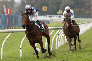 Rosehill We Ground 
