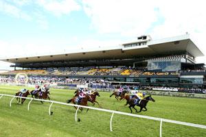 Rosehill full-grandstand 