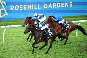 Rosehill large-sign 