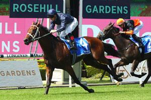 Rosehill low-sign 