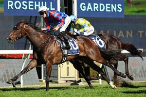 Rosehill top-sign 