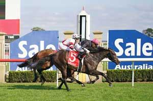 Sale Racecourse 