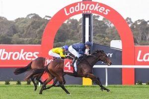 Sandown Finish2 