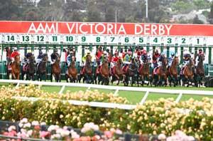 VRC Derby-2 