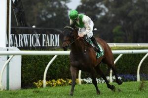 Warwick Farm-Finish2 