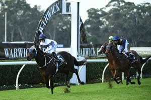 Warwick Farm-Racetrack 