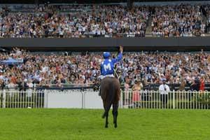 Winx Farwell 