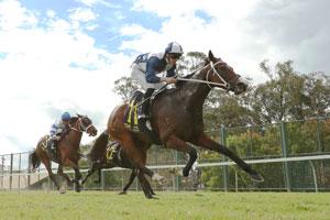 country racing12 