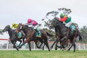 country racing8 