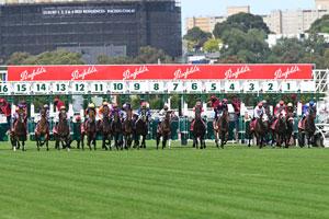 derby barriers 