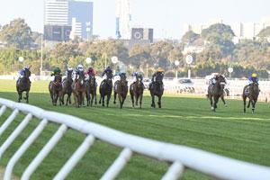 flemington low-straight 