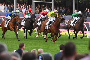 moonee valley-head 