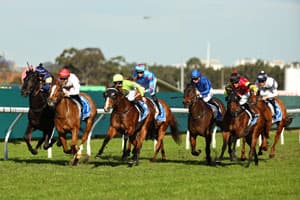 rosehill leaders 