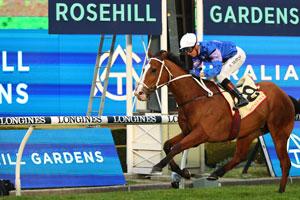 rosehill mcevoy 