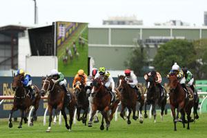 rosehill replay 