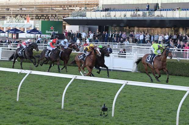 Randwick-Rail.jpg